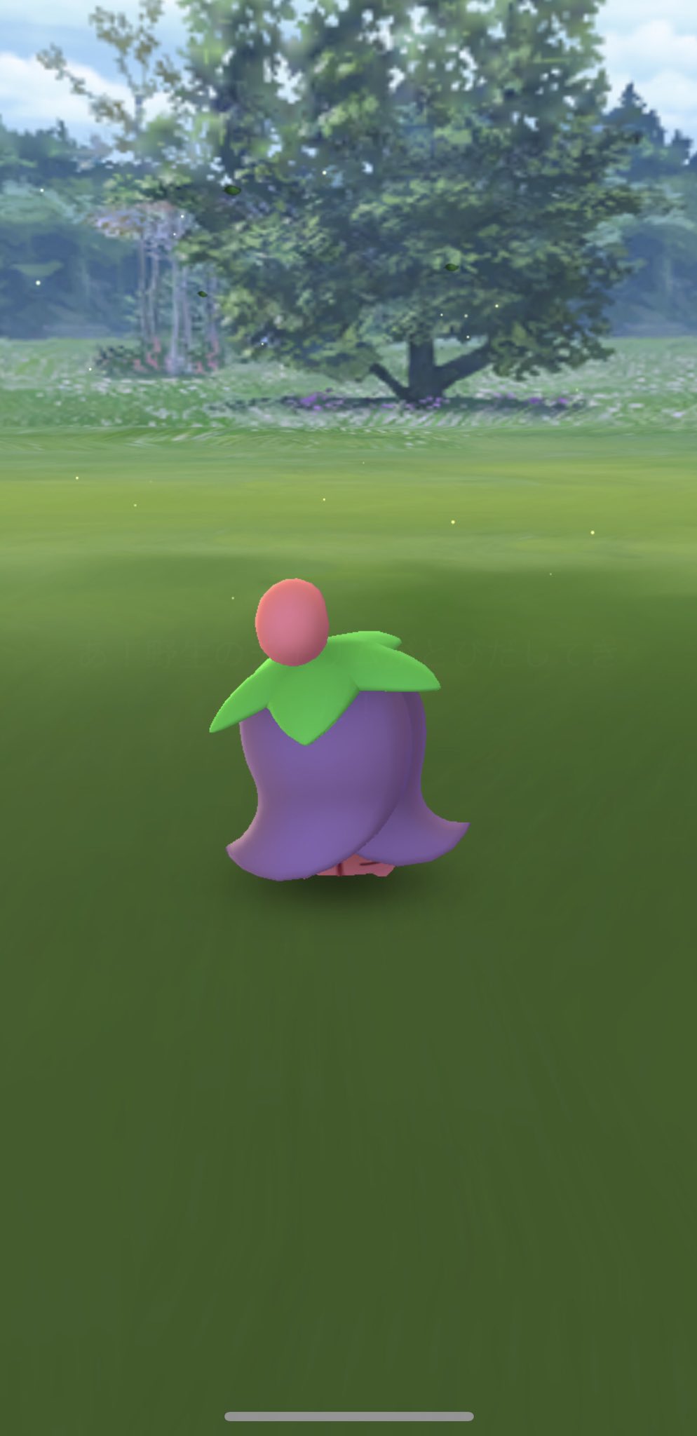 K ｹｲ 花丸推し ネガチェリムげっと ポケモンgo ネガフォルム チェリム T Co W4gevnxlcz Twitter