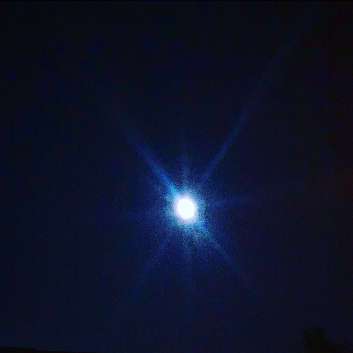 jennifer519084's tweet image. Full BLUE FLOWER Moon of May! She’s a beauty arriving at 5:11pm today. #BlueMoon #mojorising #SpiritualBomb #SPIRITUAL #lovenature #photooftheday #PhotographyIsArt #ThePhotoHour #StormHour #nj12news #lovenature