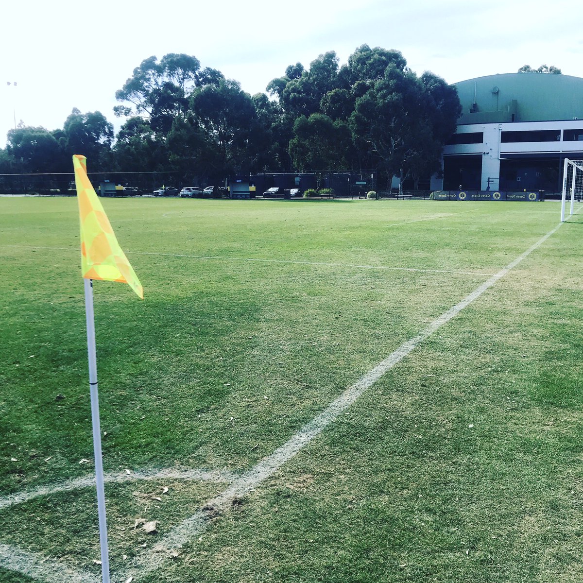 BC_Eagles_FC's tweet photo. GOOD MORNING WORLD! What a day to be an Eagle.. 🦅🦅🦅. Team News to follow. BUT BETTER NEWS TO FOLLOW FIRST! #Eagles #FFV #State2 #TheClimb @BoroondaraEagle @FV_365 https://t.co/sgdHicfwcM