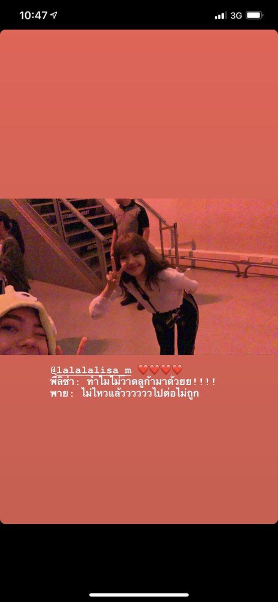 ( ㅇㅅㅇ ) 🦮🪽 tweet media