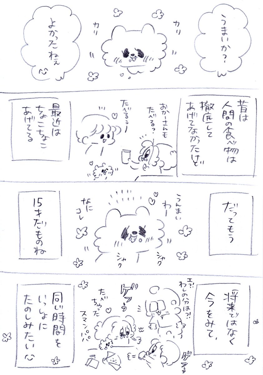 うちのおばあワン 