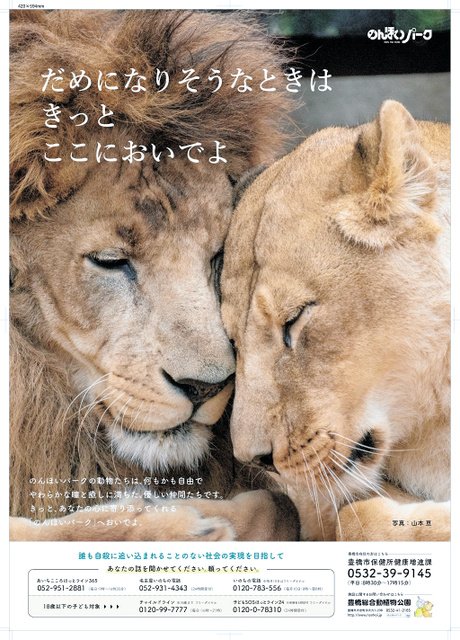 ライオンポスター シムメール