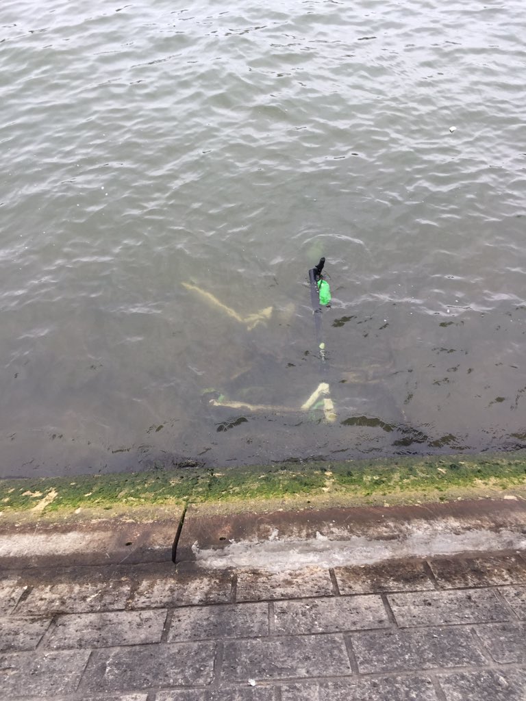 Bald auch in der #Spree!
Liebe Grüße aus #Paris ♥️#EScooter