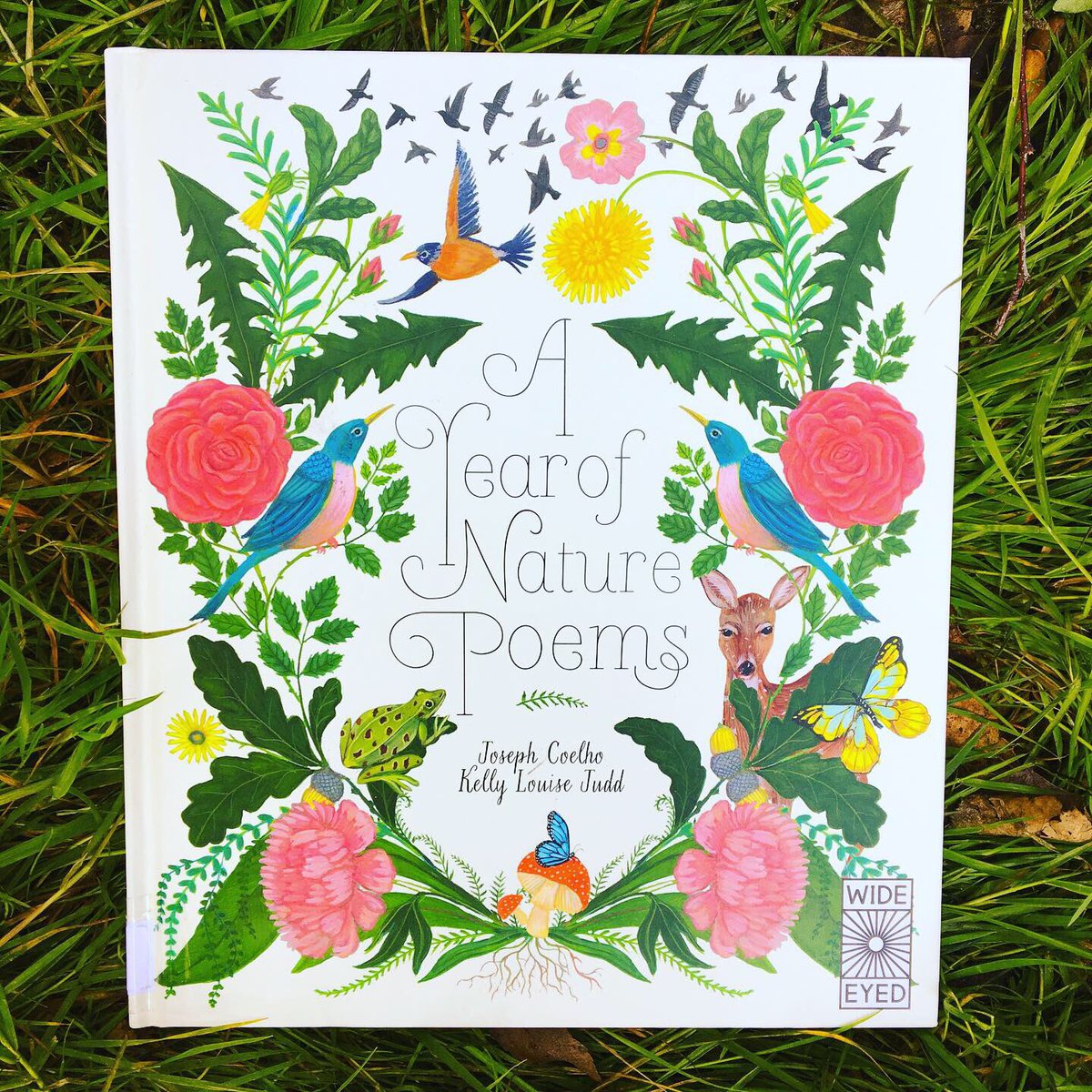 bitsybookworms's tweet photo. Have to give a shout out to this most beautiful of books #ayearofnaturepoems by @Poetryjoe with the most stunning illustrations by @swanbones published by #wideeyededitions 🍃🐿🍁🍄🌳
Anyone else read poetry? Any recommendations for other gorgeous children’s poetry books? https://t.co/CBMBbIzmTy