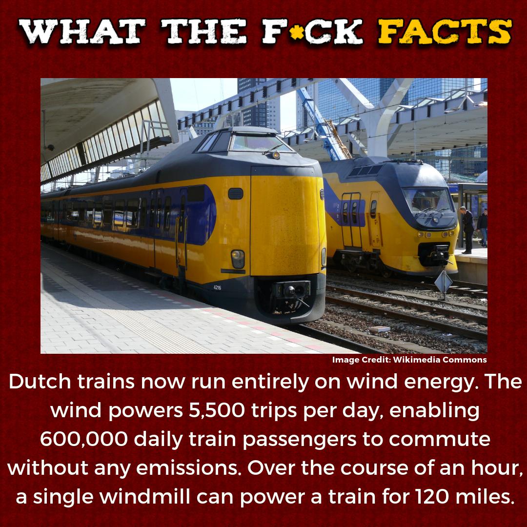 WhatTheFFacts's tweet image. 