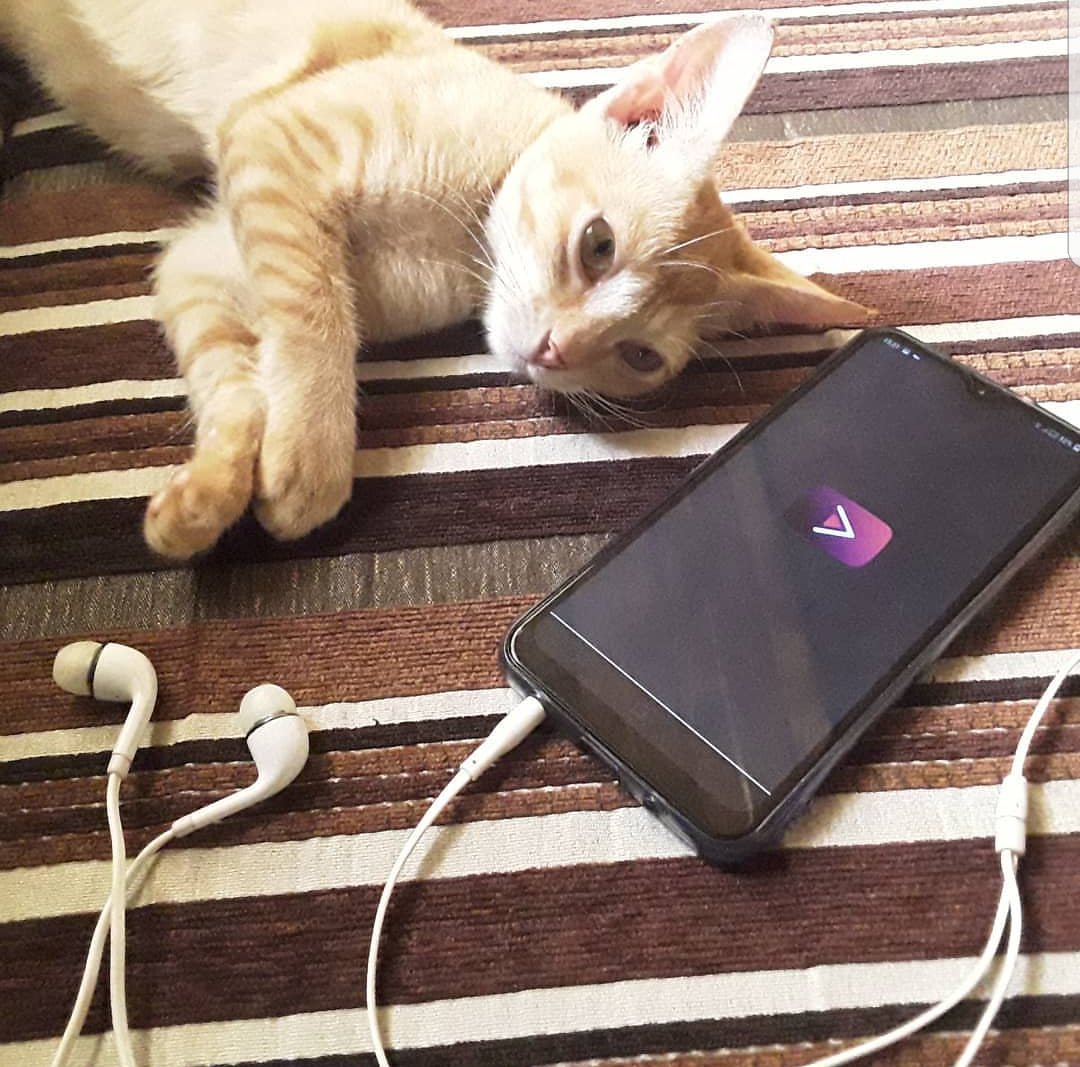 mr_raza072's tweet photo. #Catoooo #meyOoo https://t.co/FXqd8MT1EE