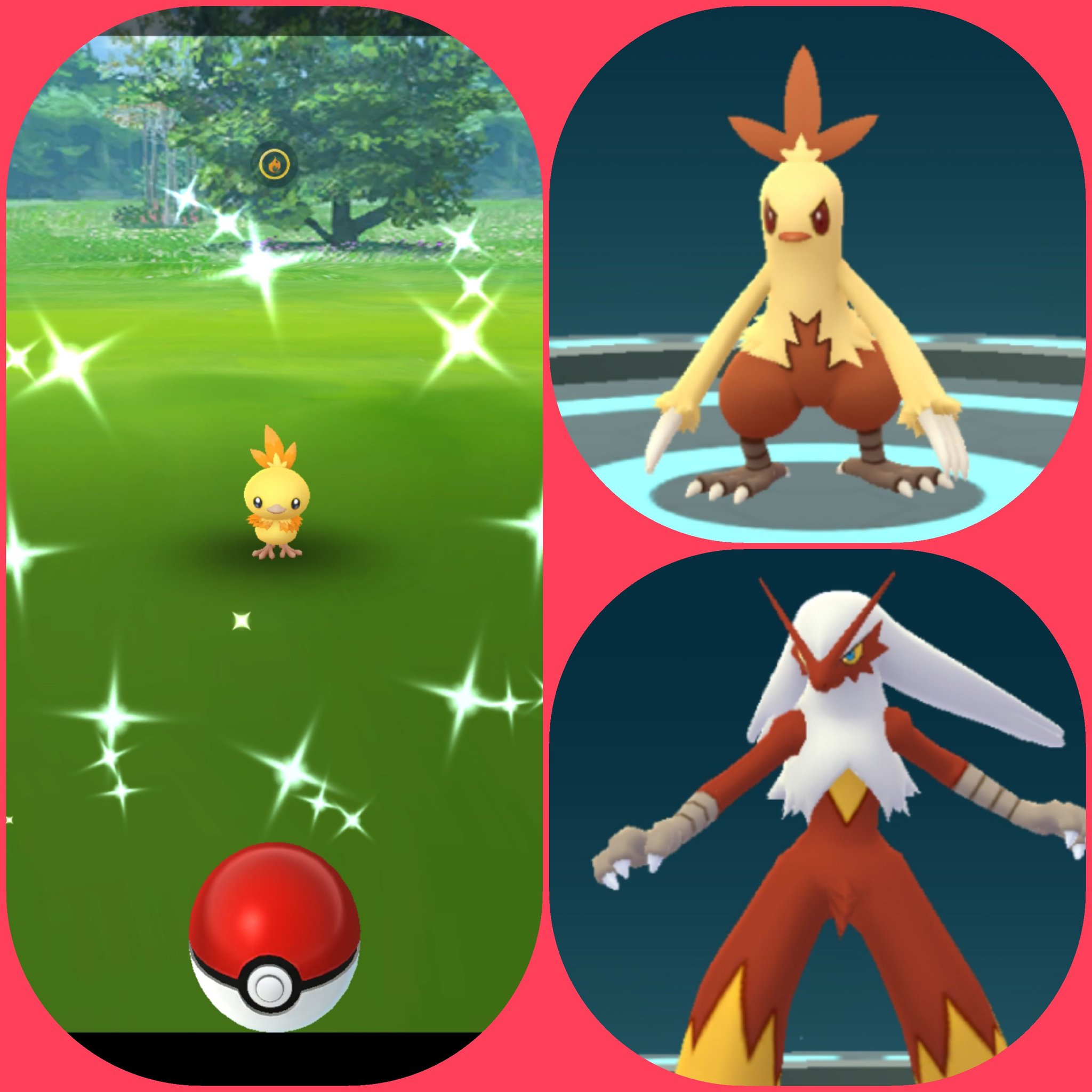 توییتر Amazinghisa در توییتر 今日のポケモンgo活動2 アチャモコミュニティお疲れ様でした O O O 色違いアチャモは4匹捕獲 最初の30分で3匹来たのでかなり捕獲できるかと思ったら違ったみたい 通常色バシャーモもブラスト 覚えました ポケモン