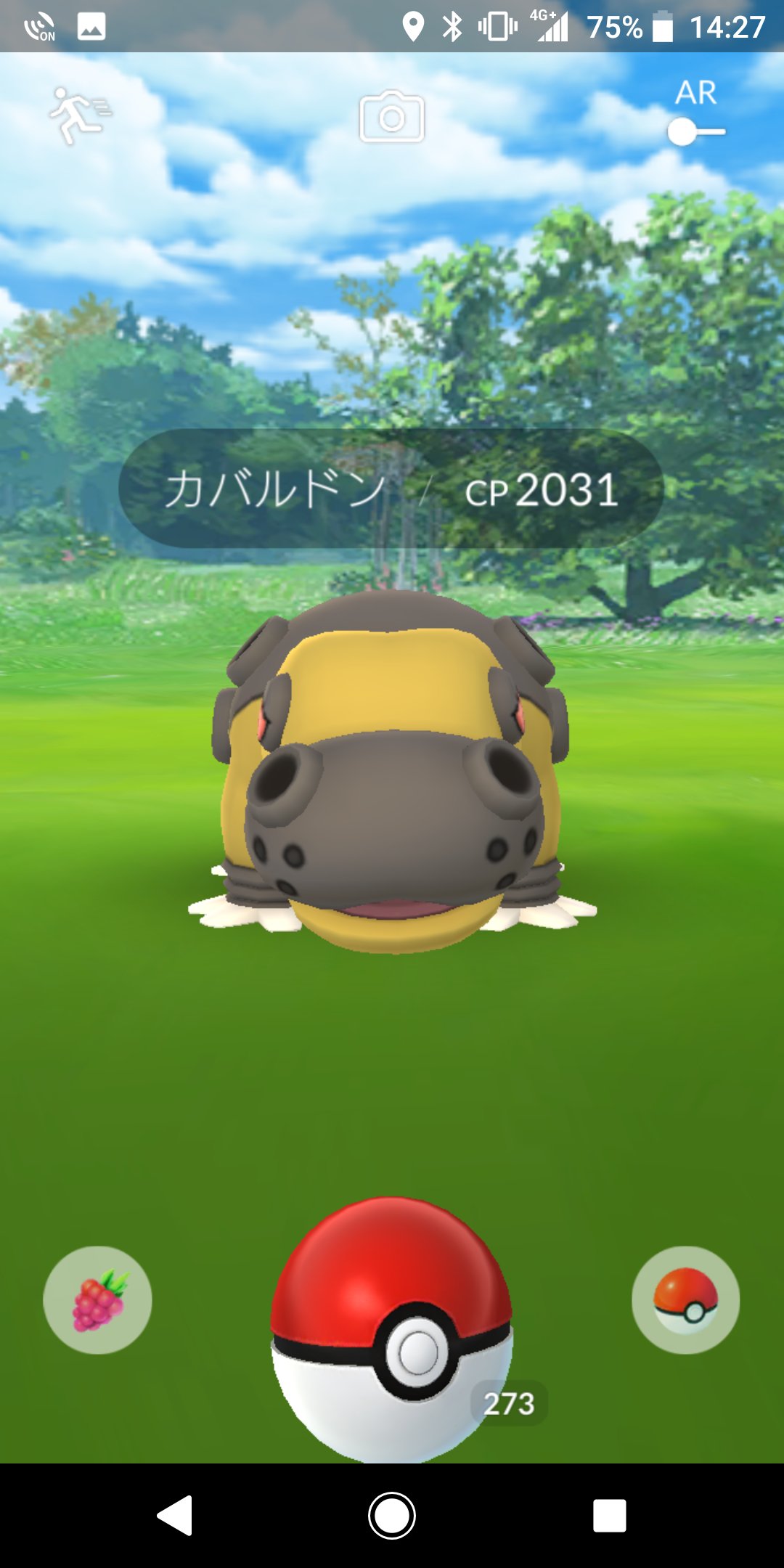 Larcencie1 金ジム514 野生のカバルドンs ﾟdﾟ ポケモンgo カバルドン T Co Aplr4aotu6 Twitter