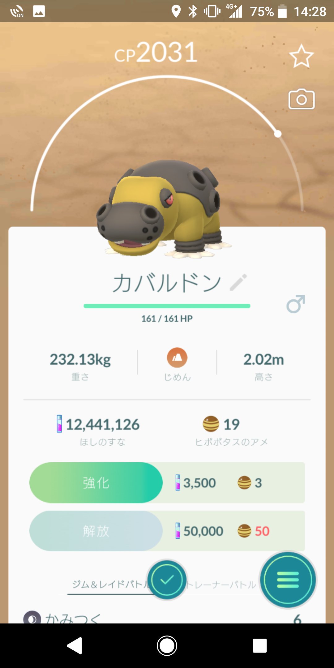 Larcencie1 金ジム514 野生のカバルドンs ﾟdﾟ ポケモンgo カバルドン T Co Aplr4aotu6 Twitter