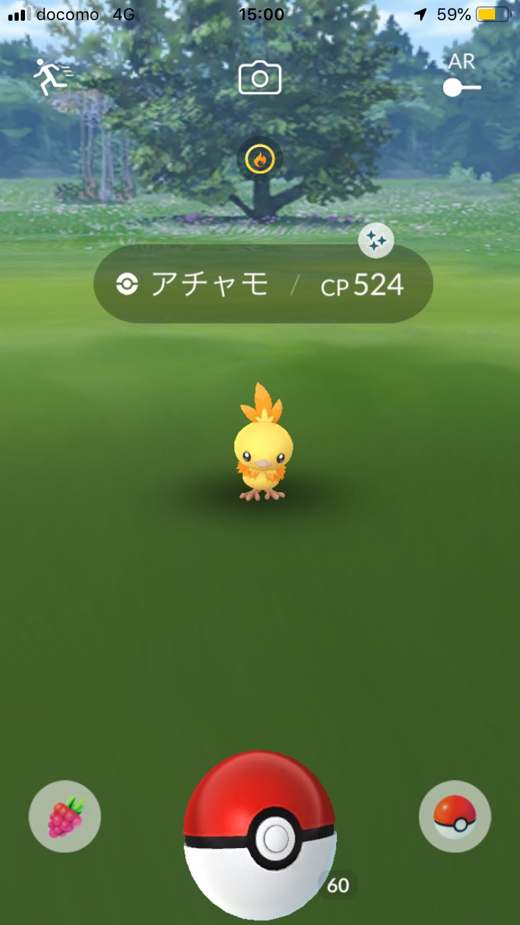セウスniミラーさん キノコ隊員 アチャモ ポケモンgo ファーストアチャモ色違い T Co Fnq7knapif Twitter