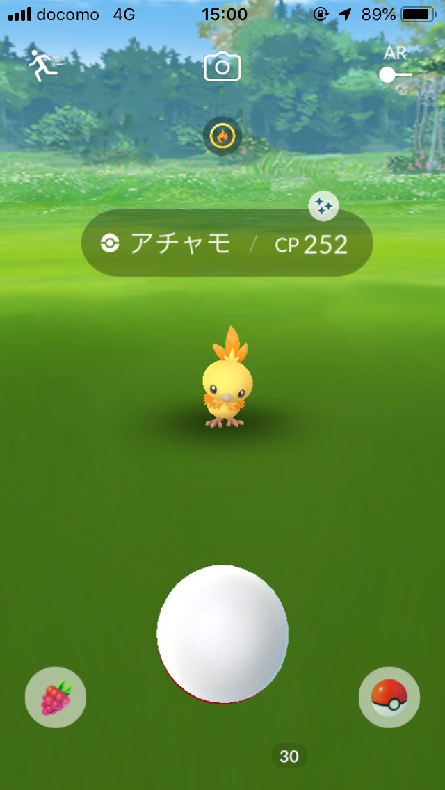 5 19アチャモデイ 最速色違いをgetした人登場 コミュニティデイ みんなのポケgo みんポケ