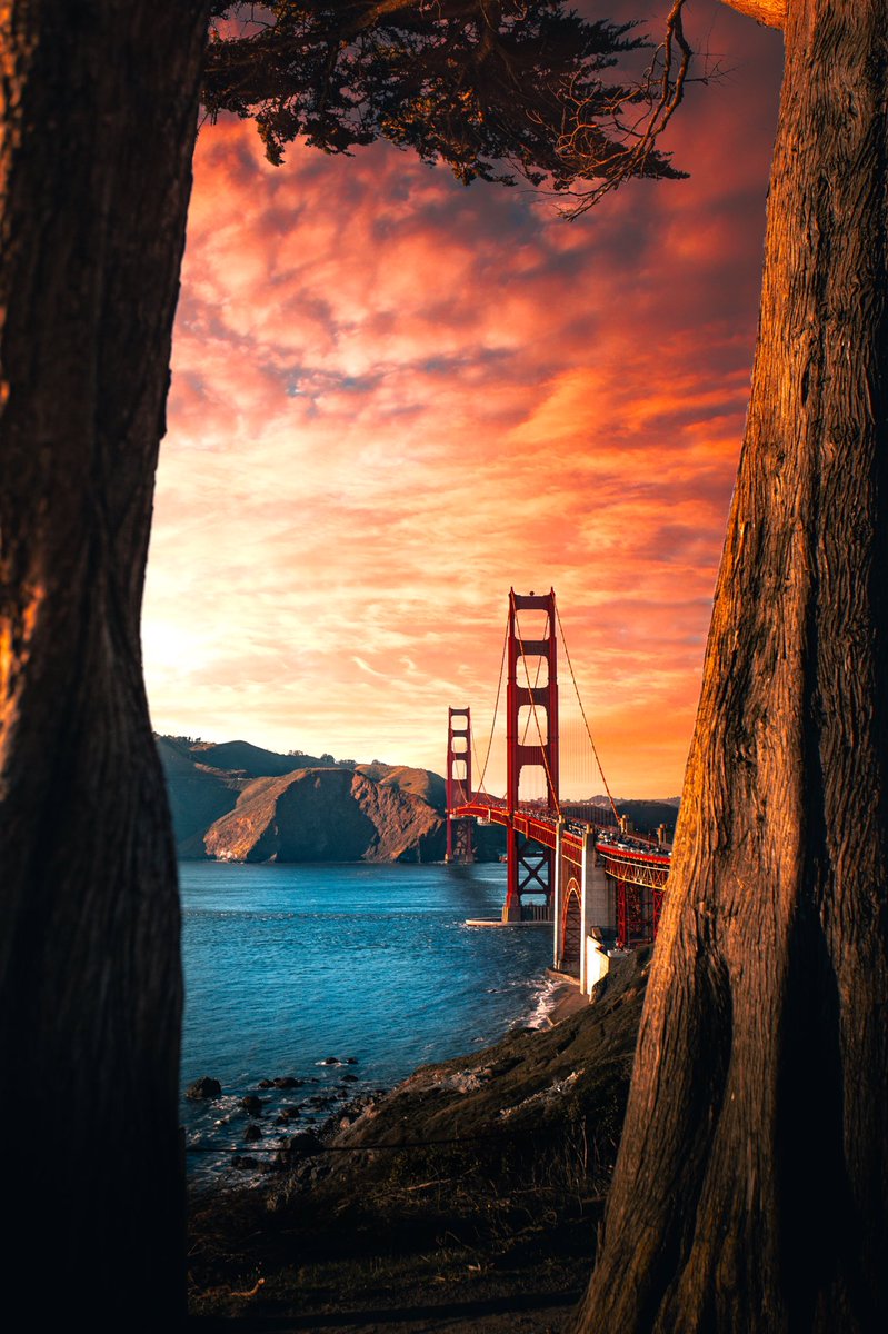 HunterRayl's tweet image. Golden hour at the golden gate in the golden state