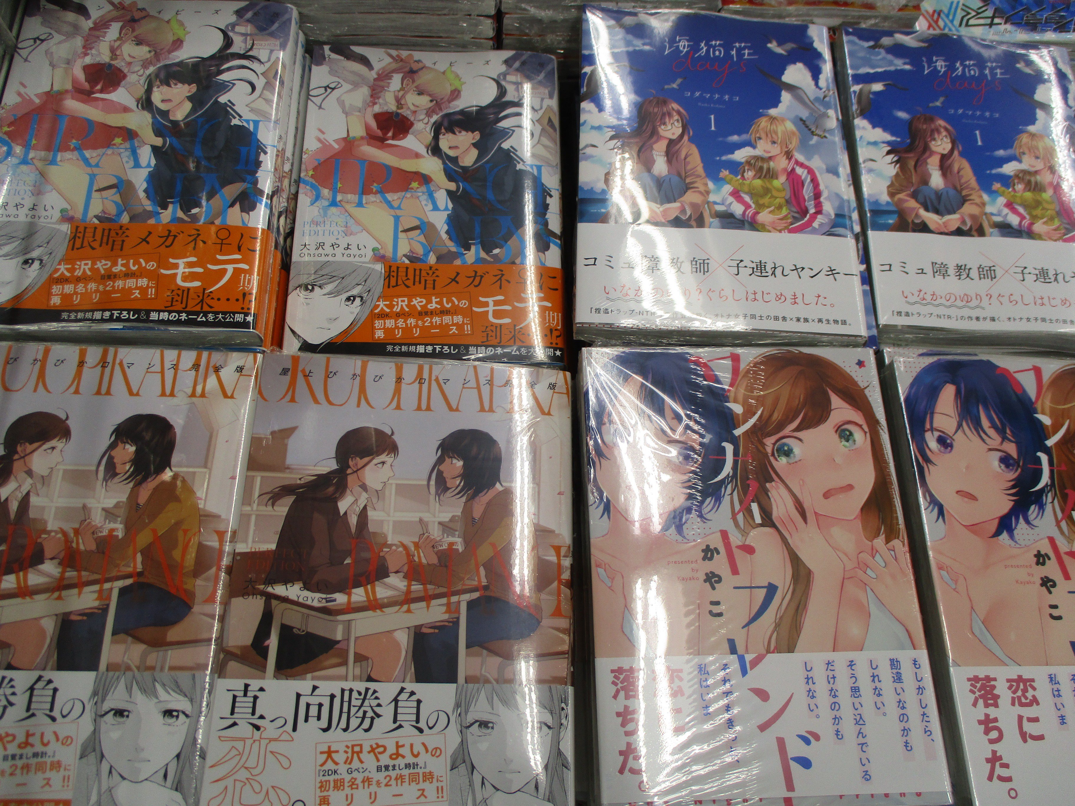 アニメイト池袋本店 担当オススメ書籍 芳文社 より 大沢やよい 先生著 ストレンジベイビーズ 完全版 屋上ぴかぴかロマンス 完全版 などが好評発売中アニっ 連動購入特典もございますので お求めのお客様は是非お早めにチェックしてほしい