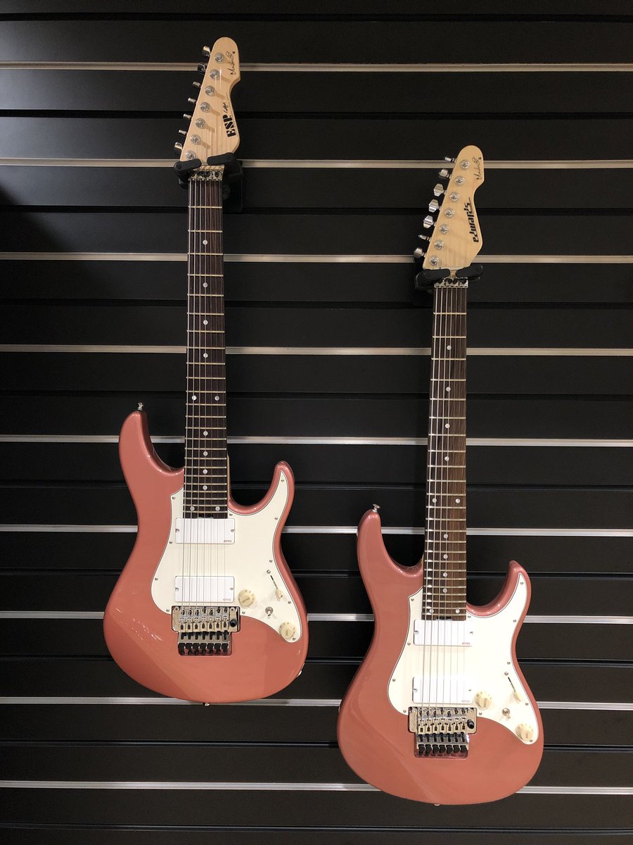 ESP? Snapperモデル　Mod ESP? Snapperモデル Mod ESP SNAPPER Fujioka Custom (Vintage