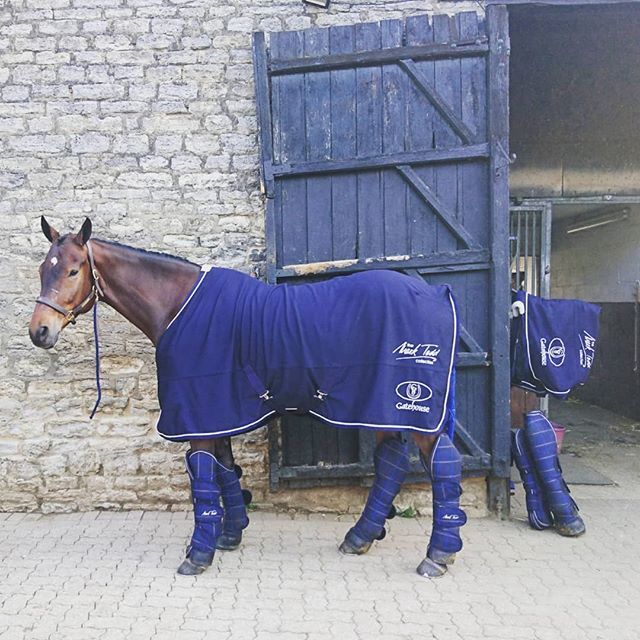 1izzytaylor's tweet photo. @rockinghamhorsetrials bound.
@marktoddcollection @gatehousehats_ *
*
*
*
*
#marktoddcollection #BritishEventing #eventing #horsesofinstagram #izzytayloreventing #izzytaylor #redhorserugclean https://t.co/SSI6APiu1N