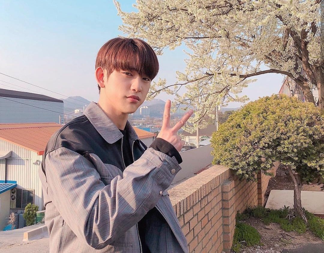 `•เกี๊ยวน้ำ`•🥟 tweet media