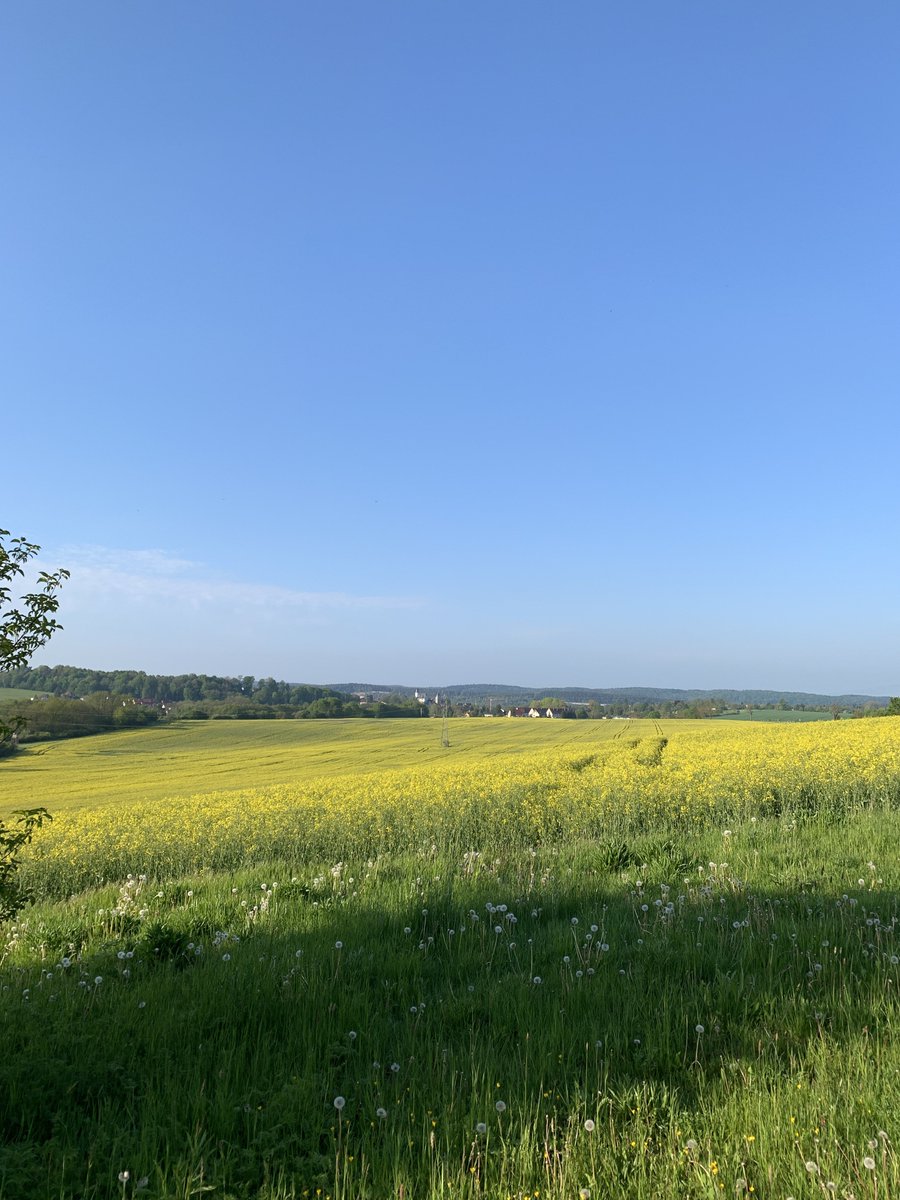 derSchniep's tweet photo. Knappe 10k #sundayrunday 🌞🤪 herrlich in der Sonne genießen 😊 #laufschnieplauf #laufenmachtglücklich #laufenistfreiheit #laufliebe #kmspiel #sweatcoin #runningismylife #running #Runtastic #allactive #GutenMorgen ✌️ https://t.co/s4PLaEqdUz