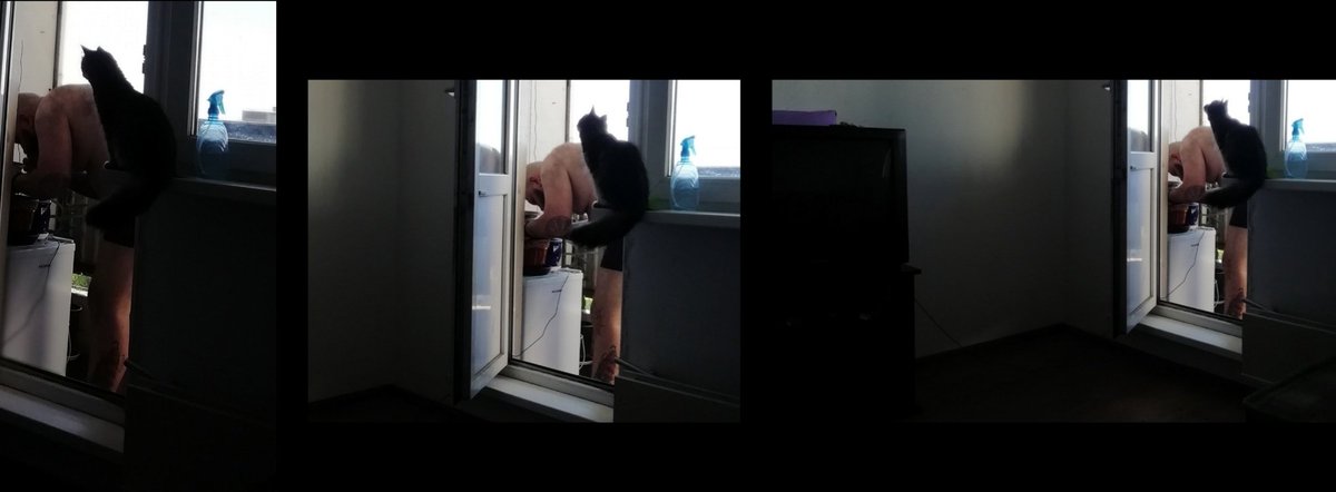 SUNLOVEGOLD's tweet image. #розмарин #ещеодин #садовник #надачу #Тула
#так #каждоеутро