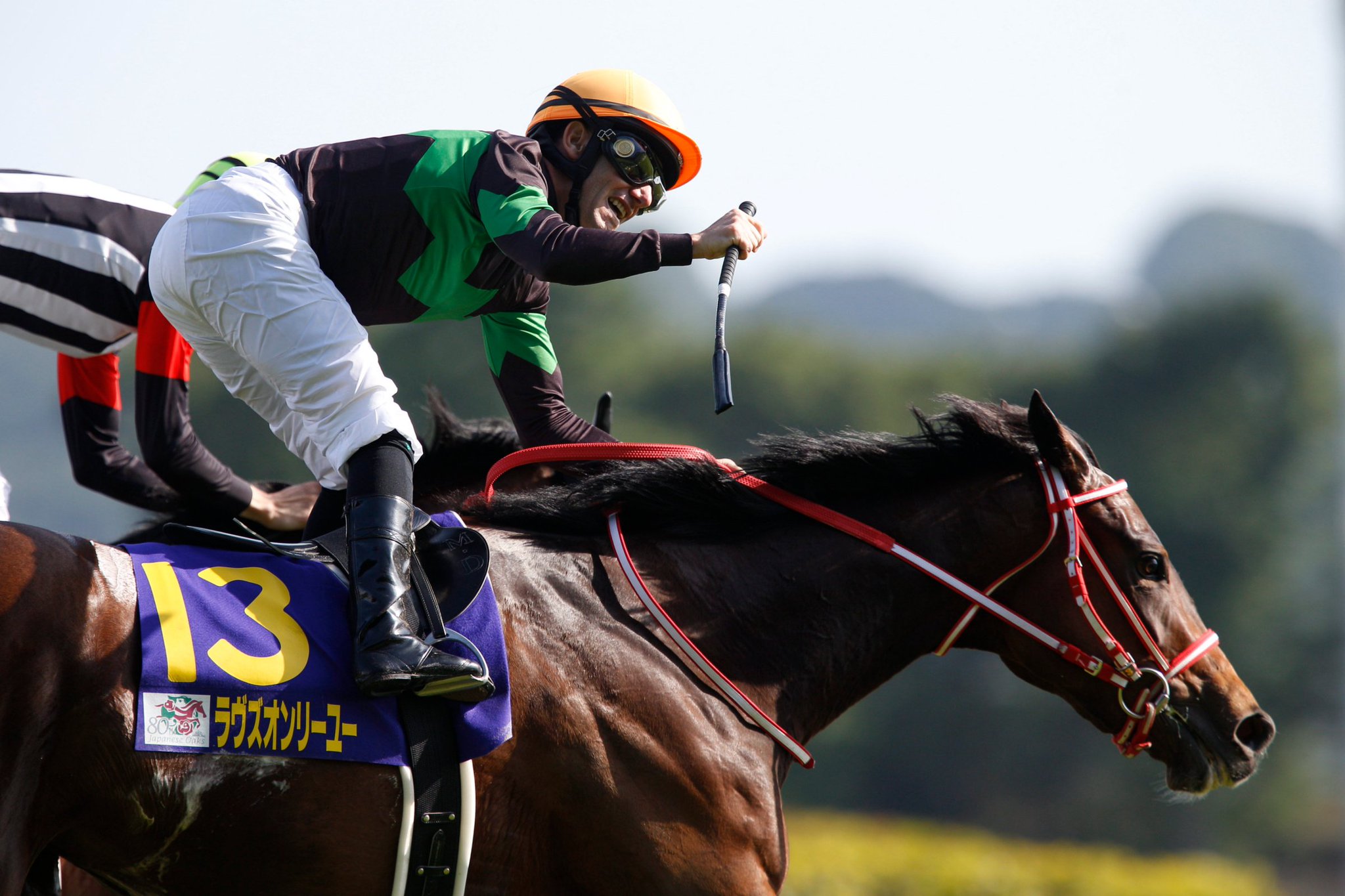 ◆　競馬　JRA　◆　ラヴズオンリーユー　◆　ゴルフマーカー　◆　オークス　◆ 201905190002-