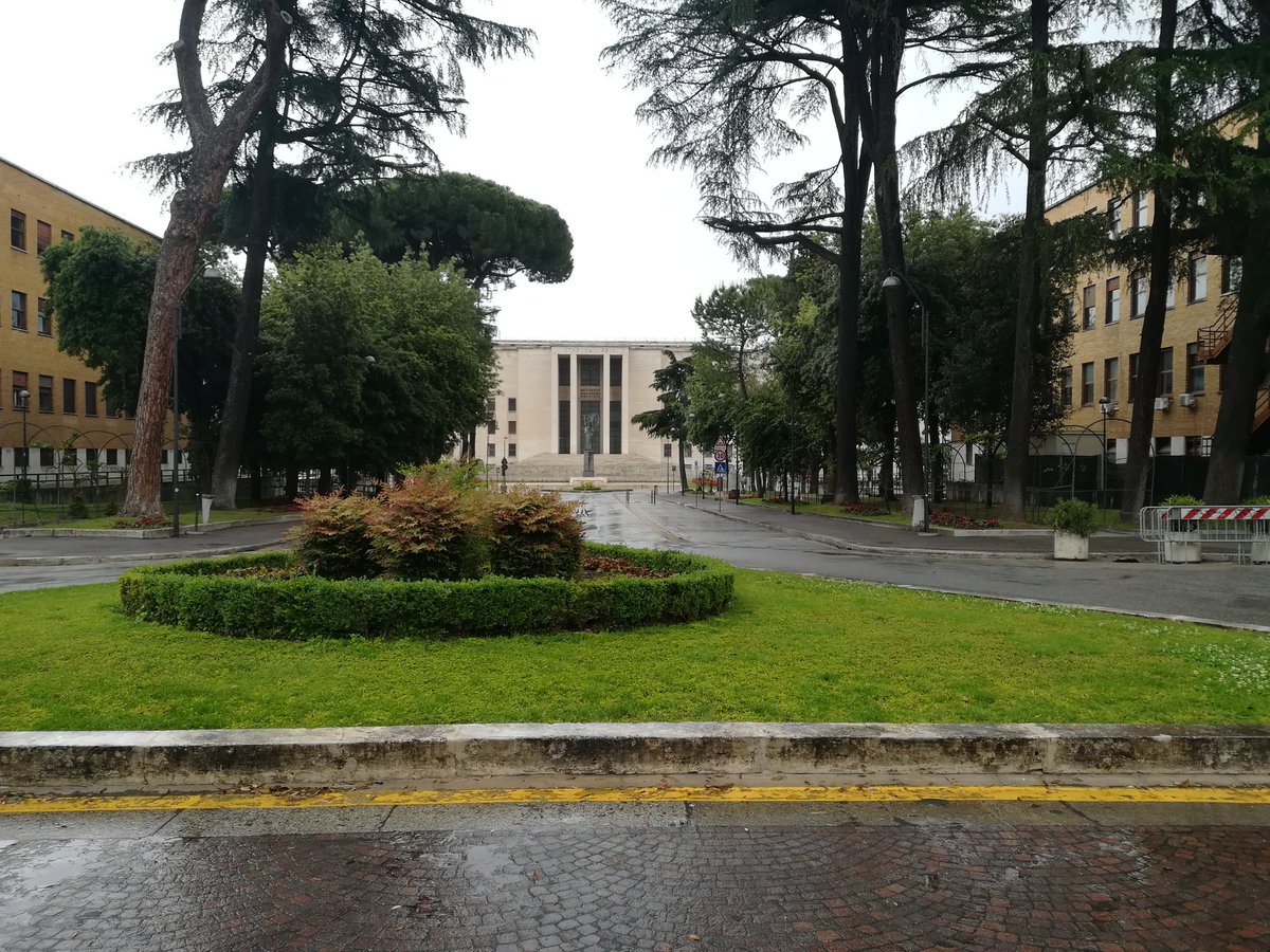 So_fi_So's tweet photo. #Buongiorno !!! 🧡😊
#sundaystudying https://t.co/Ak1428zfYM