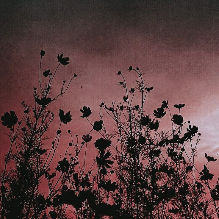 bienotbee_'s tweet photo. ββ. Umji Aesthetic Pack
β.β β Aesthetic pack by me a.k.a Bie β
β.βγRt/Fav if u want to save or use it γ
β.β β° U can Request in DM β±
.
.
.
#umji #μ¬μμΉκ΅¬ #GFRIEND #umjipack #umjiicons #umjiedit #umjiaesthetic #gfriendaesthetic
#aestheticpack #aesthetic #ppheader https://t.co/ySmRPBJ5mA