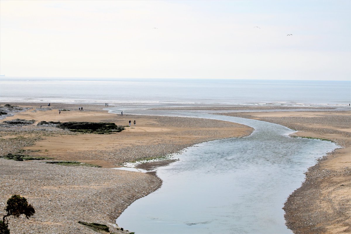 Gary  Hall tweet media