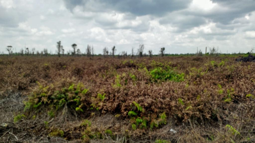 Smg tidak memiliki Halangan Lancar Sprt Yg di Harapkan..
