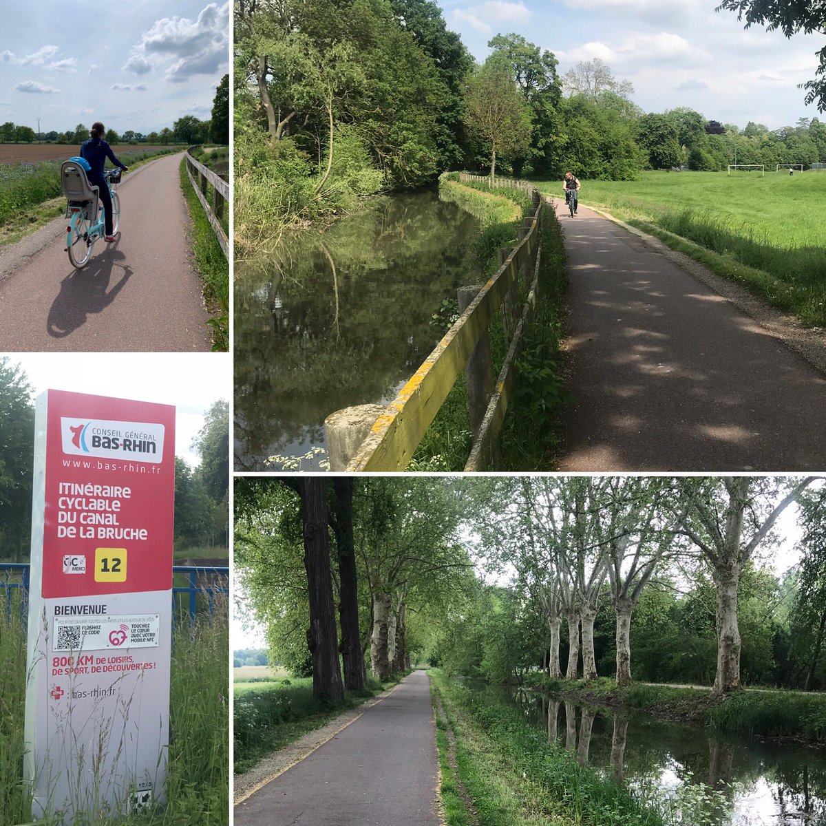 Elizinfograph's tweet image. Magnifique balade de 22km le long du canal de la Bruche hier... c’est vrai qu’elles sont top nos pistes cyclables @basrhinavelo 😉🚲☀️ #CD67 #aucoeurdu67