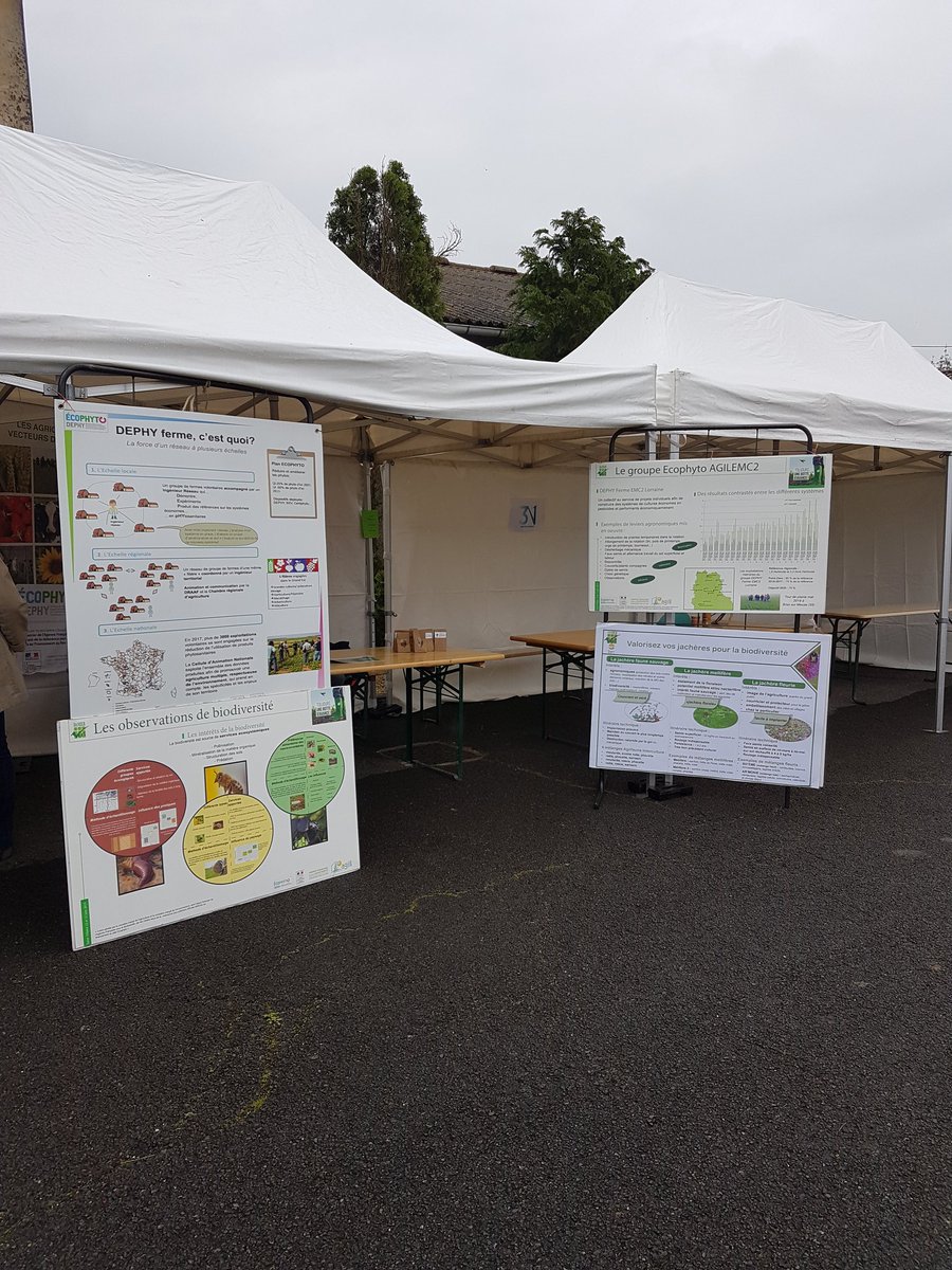 agilemc2's tweet photo. @agilemc2 est présent à la journée Api Day à Grand-Failly (54) pour présenter les travaux et les mesures de la biodiversité sur les exploitations des #agriculteurs #ecophyto de @coopEMC2 

#biodiversite #agriculture #produireplusetmieux https://t.co/QqDXW1mgtW