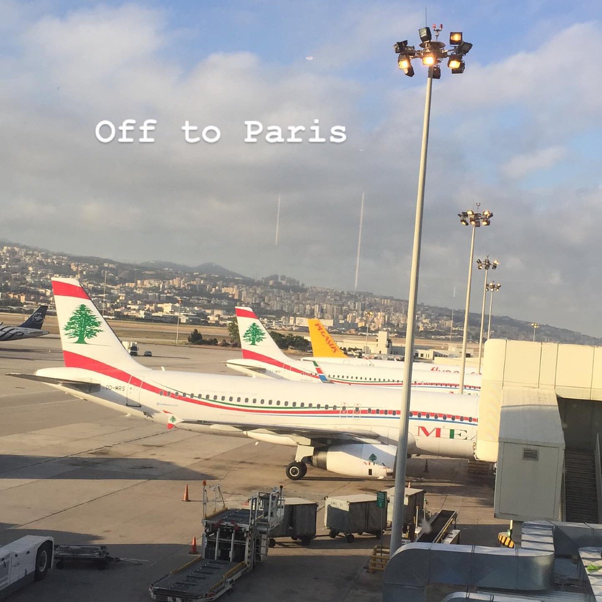 Massyholics's tweet photo. 🔹PARIS 🇫🇷💙
🔹@mike_massy 💗
#MikeMassy #backtoparis #offtoparis #Lebanon #fromlebanon #toparis #parisjetaime #parisjetadore #seeker #learner #teacher #traveler #airplanes #airports #singer #actor #songwriter #vocalcoach #coachvocal #artist #musician #music #art #land #sky https://t.co/5hWdDNCHUD