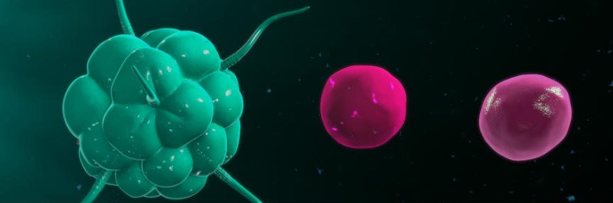 BiomedicsMECFS's tweet photo. SEEKING INPUT on treatment for extremely low Natural Killer cell function in #MECFS patients.

IVIG, Cuvitru, Interluekin-2, Ampligen, B Cell treatments, others?

Immunologists, authors, journal articles, MDs, studies...

@OpenMedF @LBatemanMD @ngklimas @RedefiningMECFS (photo) https://t.co/yb5B19B8SD