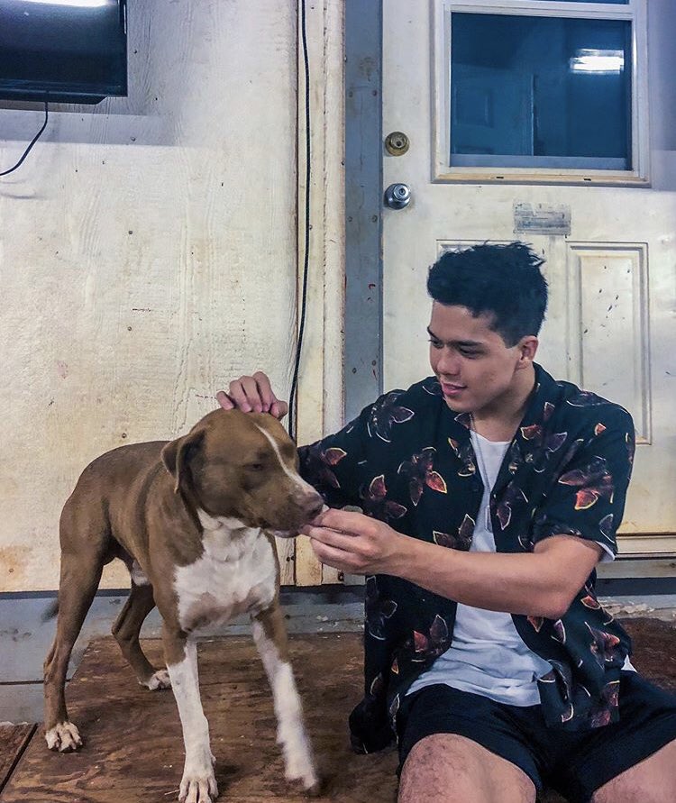 elmonatics's tweet photo. Elmo Magalona Instagram post! 

"Befriending a dog that came outta nowhere? Not strange at all 🤖 Rocking Hawaii in this #strangerthings3 polo from @hm 🤙🏼 Mahalo @dancmejia!" https://t.co/mP7vP6ZCap