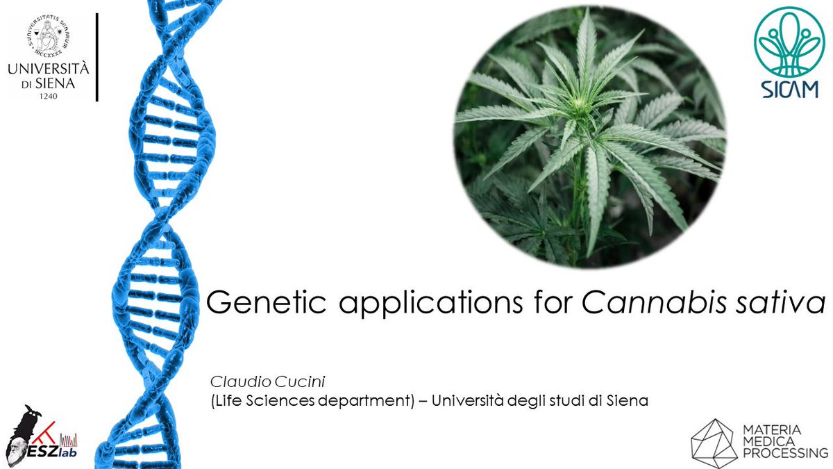 EszLab's tweet photo. Cannabis_Update
What a great workshop yesterday at Toscana Life Sciences foundation!
@esz_lab with @sicamweb and @mmp_it talking about #cannabis and its #genetic properties.

#hemp #sextest #microbiome #chemotype #male #female
🍁🌱🧬👨‍🔬👩‍🔬 https://t.co/kxQf271TrA