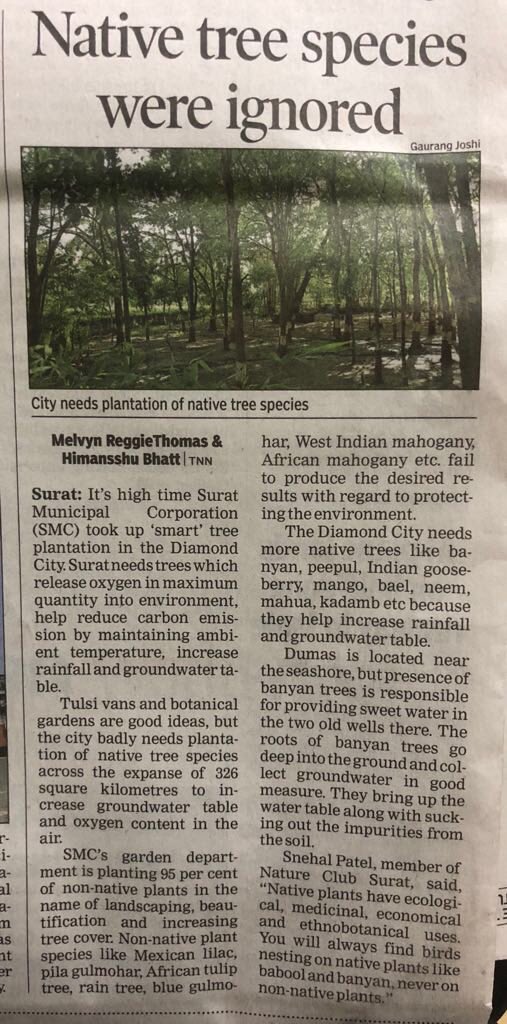 rajeshhmodi's tweet photo. @DrJagdishSurat @OurSMC @drrajivguptaias @MySuratMySMC @CommissionerSMC @CMOGuj @ncseerc Few of the best suggestions and news articles written by @MelvynthomasTOI @HimanshubhatTOI in @TOICitiesNews @TOIIndiaNews @timesofindia Hope we learn from this and target #MillionTree target ! Citizens are also eager to participate for care and monitoring of saplings. https://t.co/GCeGb3AGWP