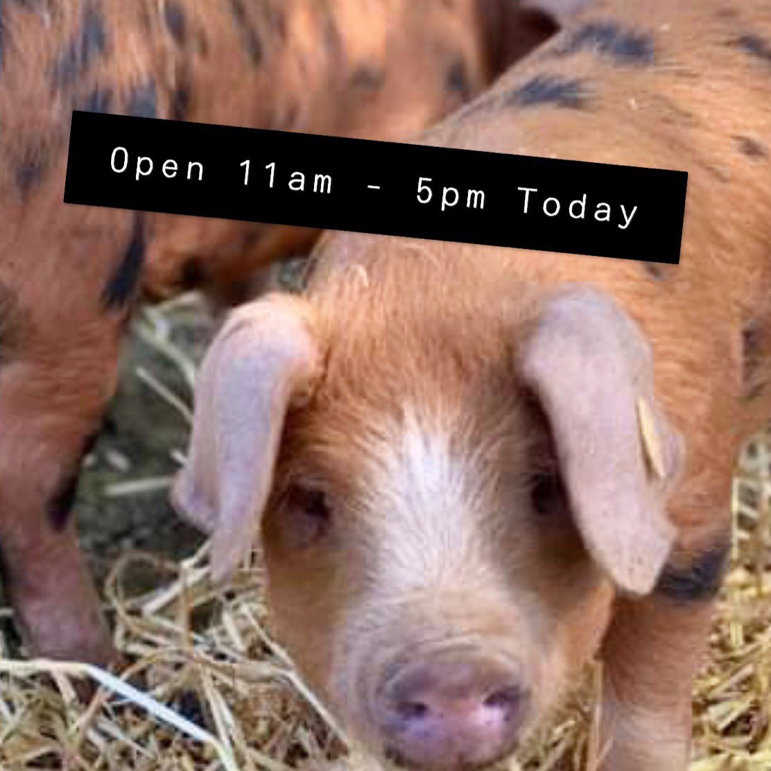 Palette and Pasture (@palette_pasture) on Twitter photo Ice Cream Parlour Open Today ☀️☀️ Ice Cream Parlour Open Today ☀️☀️