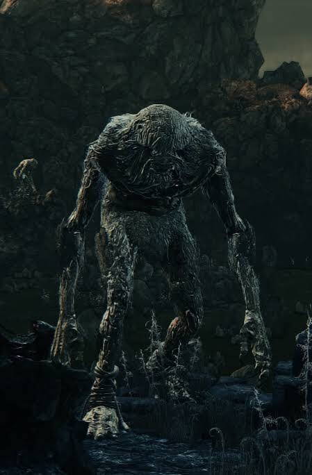 うー On Twitter 捨て子の巨人 はメンシスの悪夢に居るカヌやイラスと同じく頭を移植された失敗作 子供達 の成れの果てかと思ってます 捨てられたって考えるとやはりメンシス 医療教会 に居る以上失敗したが故に捨てられた って事ですかね ちょうど隕石