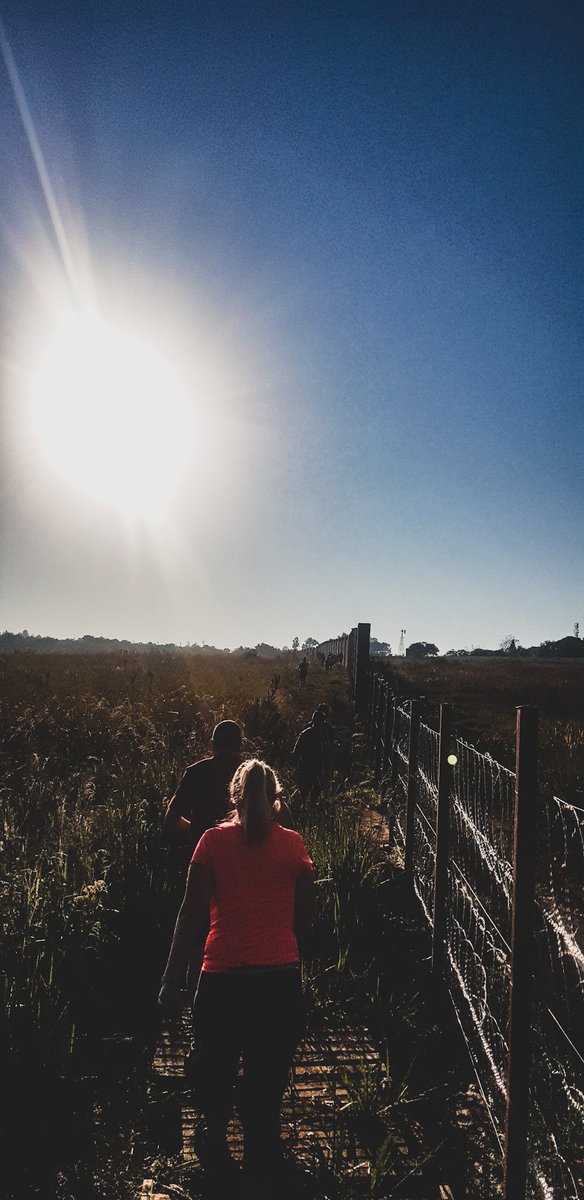 sliqric's tweet image. Sunday run done 🥇

&quot;Embrace the flaw in your logic, then learn from it&quot; (paraphrased) - Jesse with @CarnesBeau on @freeCodeCamp podcast 

#hacktime