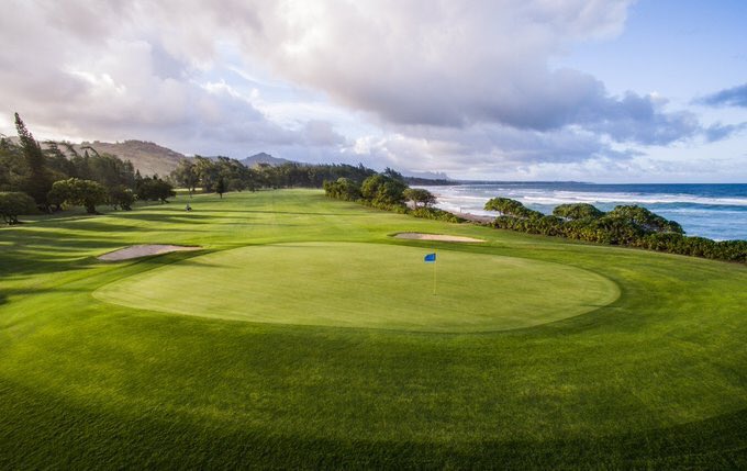 GoGolfKauai.com tweet media