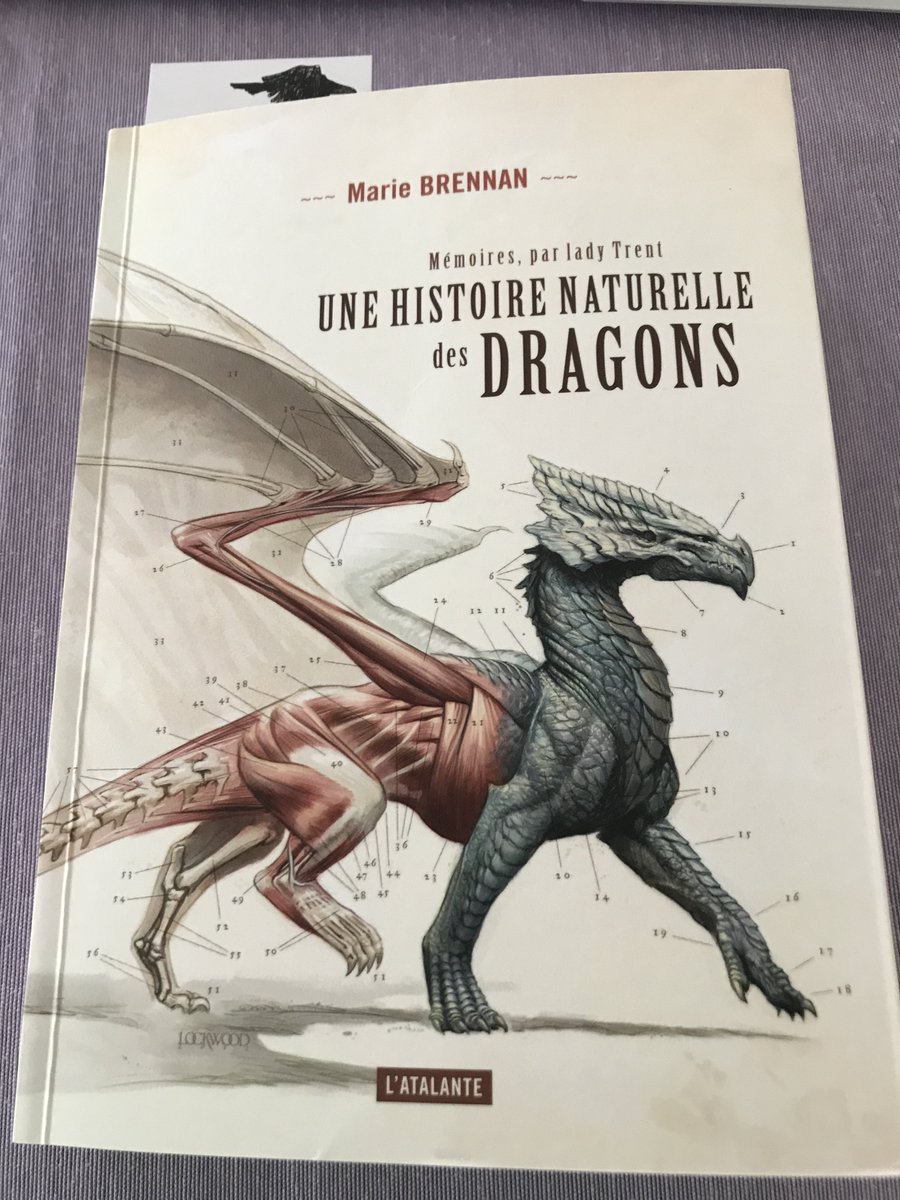 PeacefulEnergyO's tweet image. C’est parti pour le tome 1 😊 #mariebrennan #dragon #livre #lecture #fantasy #dragons