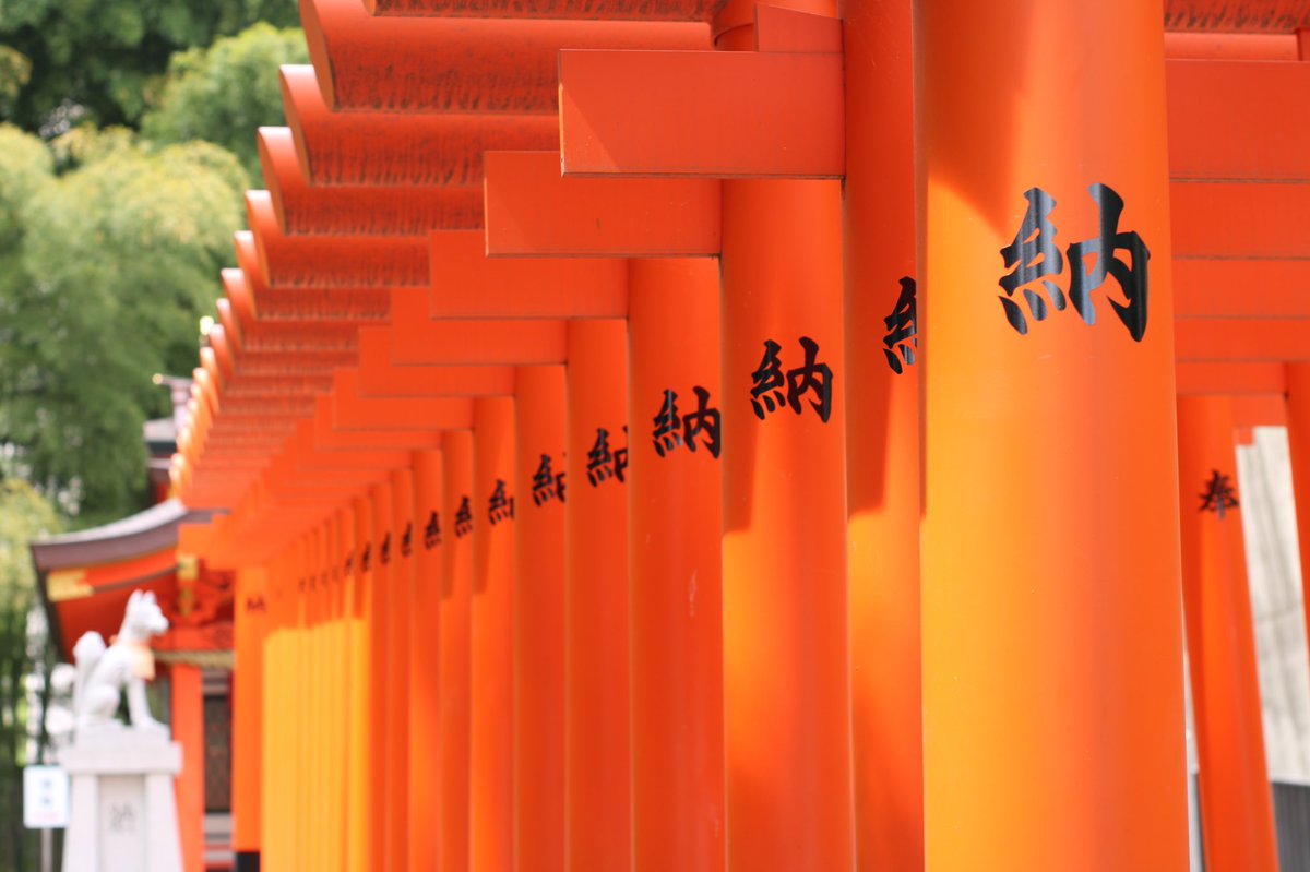 Dimi 🐣 tweet media