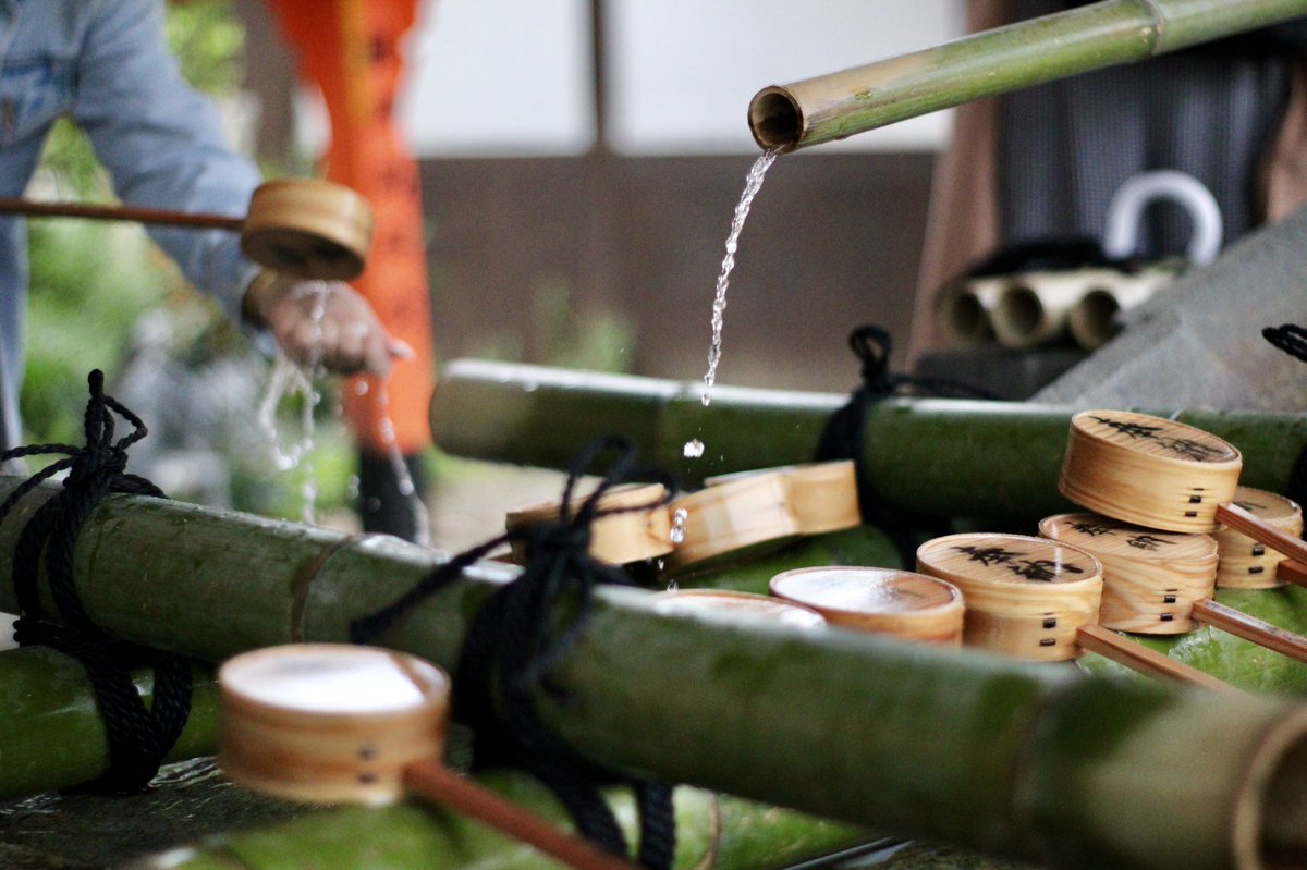 Dimi 🐣 tweet media