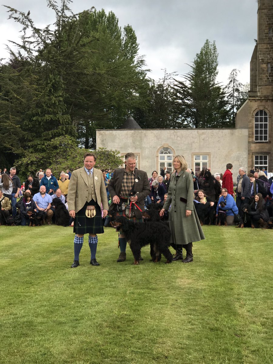 GordonCastle's tweet photo. WOW 126 dogs and counting!!!! THANK YOU ALL SO MUCH!!!
Not great photos as coordinating that many dogs is tricky 😂 but professional ones to follow. #saveourgordonsetter #gchg19 #gordoncastle #fochabers #scotlandisnow #visitscotland #MoraySpeyside https://t.co/rDPzBjKY48