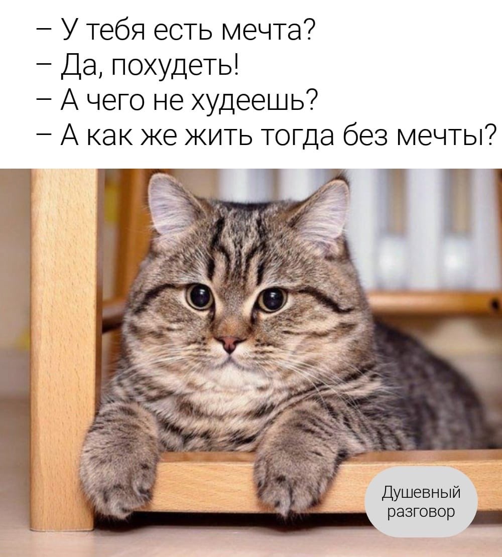 D679DvEXYAY-31A.jpg:large