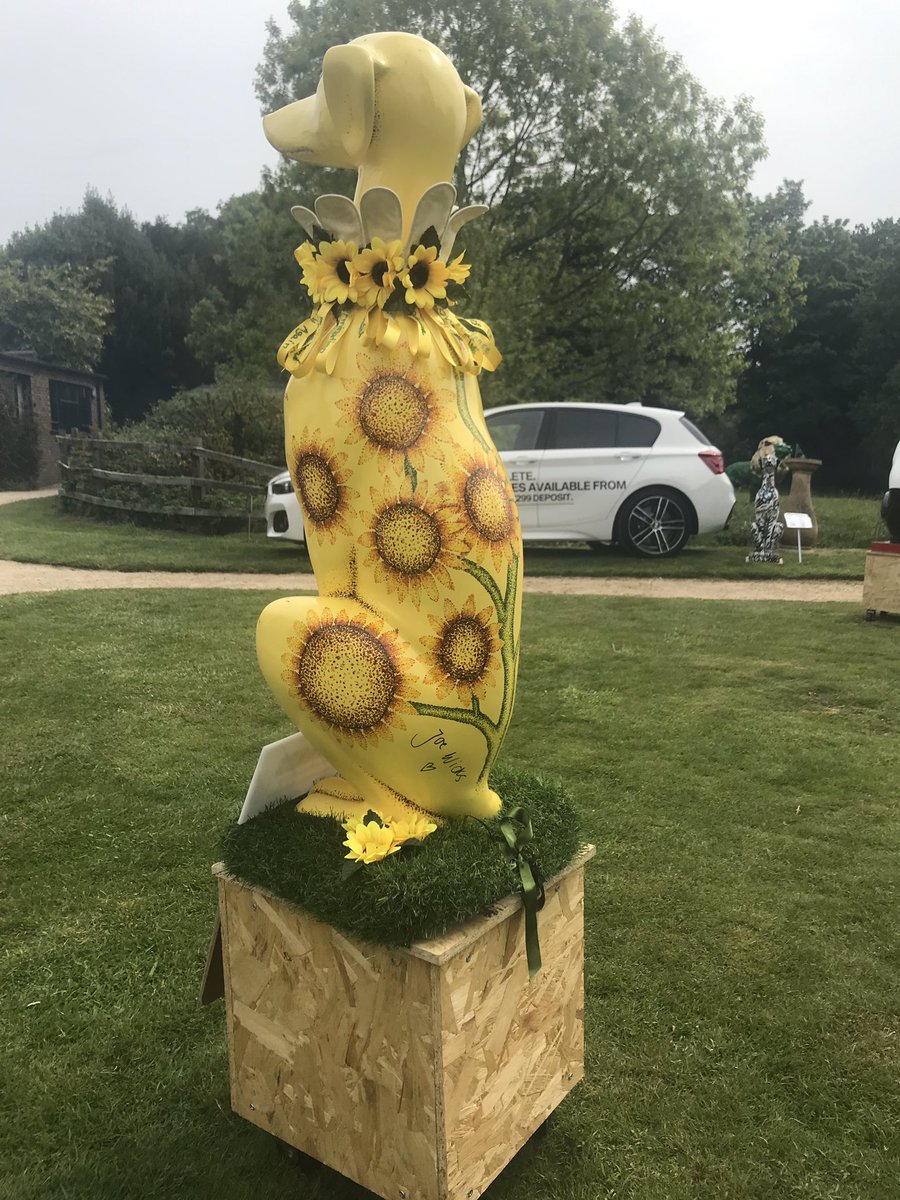 AshleighEDeane's tweet image. ‘Pawsitive Thoughts’ designed by Woolmer Hill School and signed by Joe Wicks - raising money for Young Minds. @thebodycoach @HaslemereHounds @YoungMindsUK @WoolmerHillScho #TeamYM #haslemerehounds #youngmind #charity