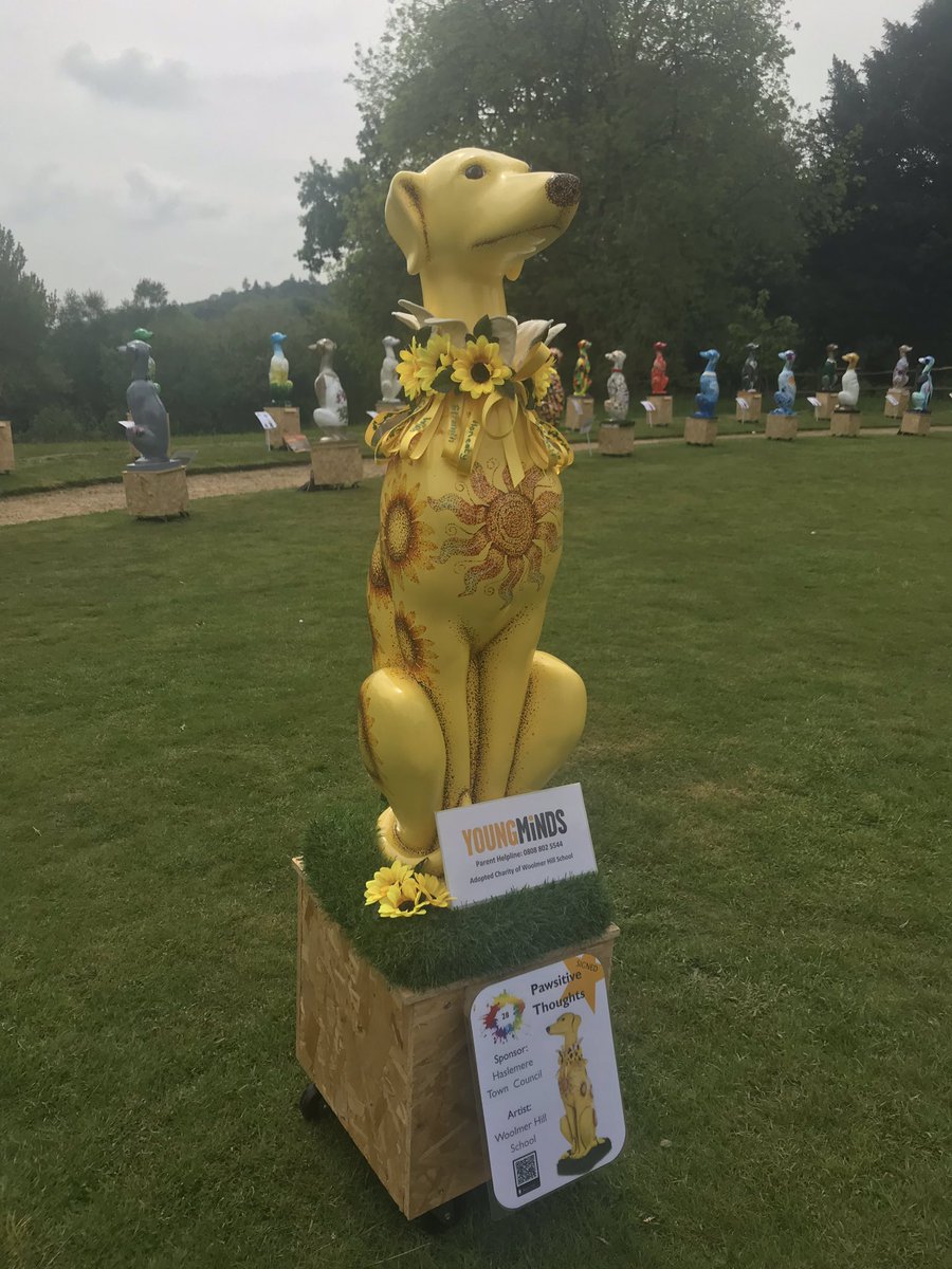 AshleighEDeane's tweet image. ‘Pawsitive Thoughts’ designed by Woolmer Hill School and signed by Joe Wicks - raising money for Young Minds. @thebodycoach @HaslemereHounds @YoungMindsUK @WoolmerHillScho #TeamYM #haslemerehounds #youngmind #charity
