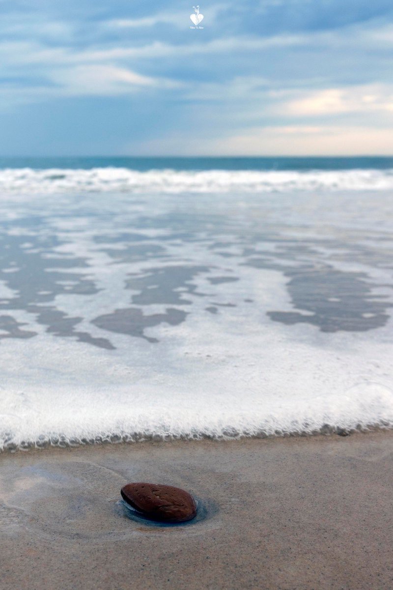 nature_return's tweet photo. Achat disponible en téléchargement https://t.co/6kfx4untmd

#natgeo #nature #rondpoint  #landscape #earthfocus #sea #freedom #seascape #stone #photo #photography #ocean #wave #canonphotography #500px #landscapelovers #landscape_photography @RondPoint_ https://t.co/B29e0PCeFm