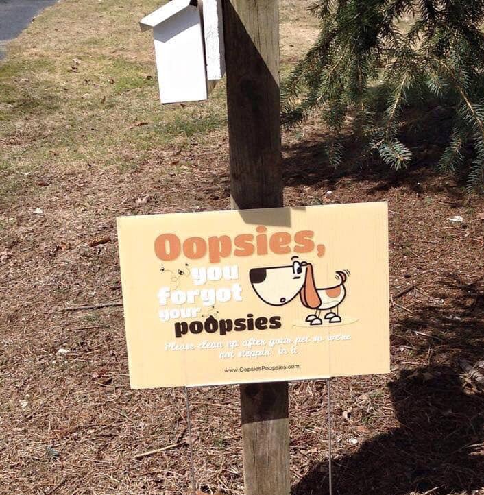 #dogpoopproblems? Here's your solution! #dogpoopsign #nopoopsign #oopsiespoopsies etsy.com/shop/OopsiesPo… #cleanupafteryourpet 
“Oopsies, You Forgot your Poopsies. Please clean up after your pet so we’re not steppin’ in it.” Order today! Please allow 1-week delivery time.