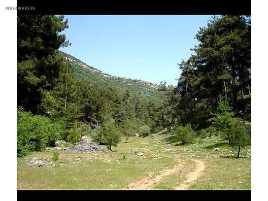 11 donum imarli arazi sahibinden satilik
İlan No: 603800939
sahibinden.com/ilan/emlak-ars…