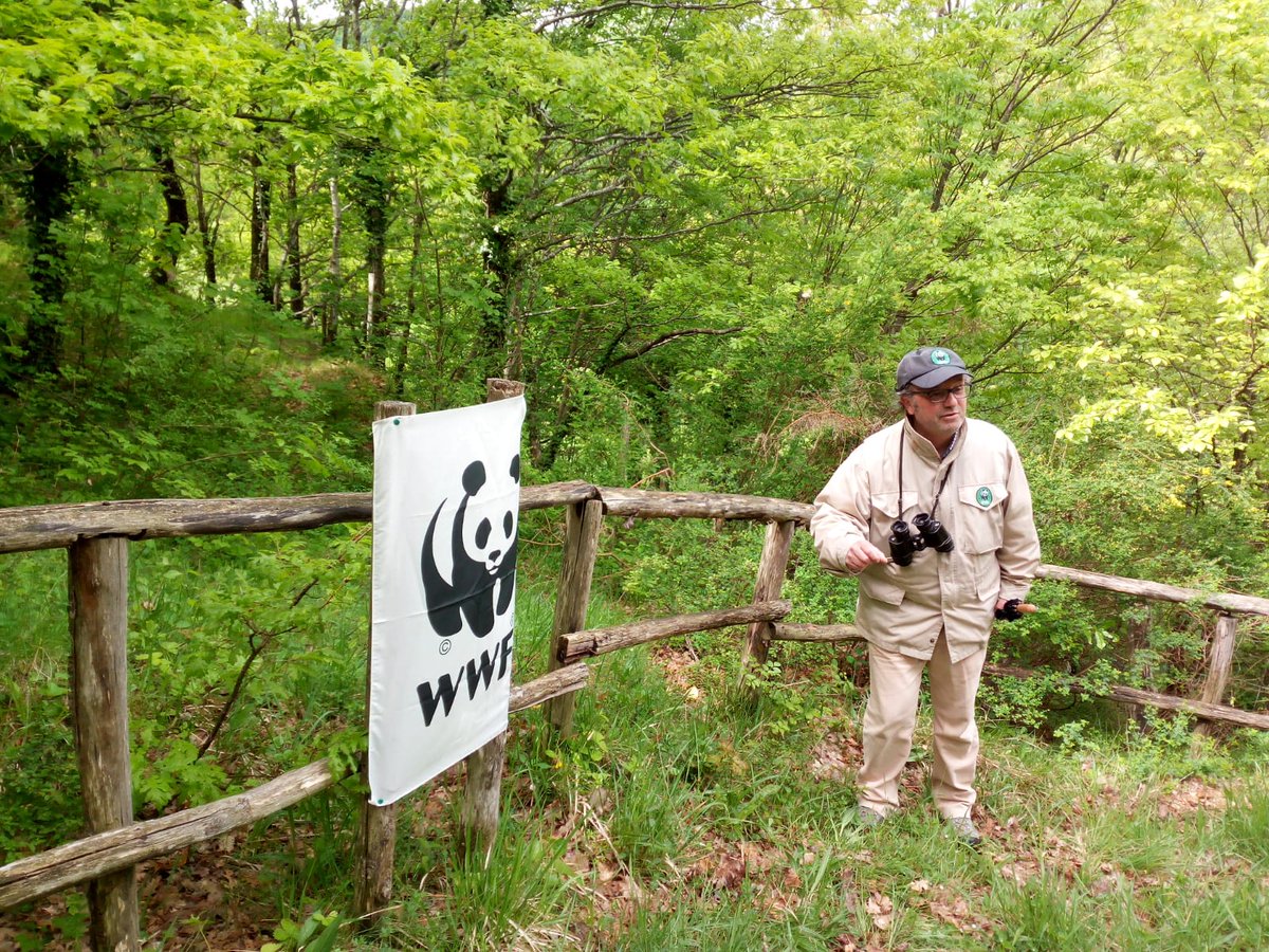 WWFMolise's tweet photo. Michele, la Guardia dell'Oasi WWF Guardiaregia-Campochiaro, mostra alcune delle oltre 40 specie di orchidee censite #giornataoasi #Molise @WWFitalia @WWFMolise https://t.co/kg5f1C1L8T