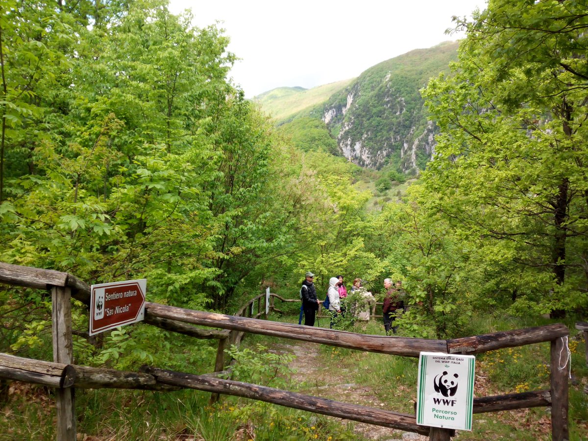 WWFMolise's tweet photo. Michele, la Guardia dell'Oasi WWF Guardiaregia-Campochiaro, mostra alcune delle oltre 40 specie di orchidee censite #giornataoasi #Molise @WWFitalia @WWFMolise https://t.co/kg5f1C1L8T